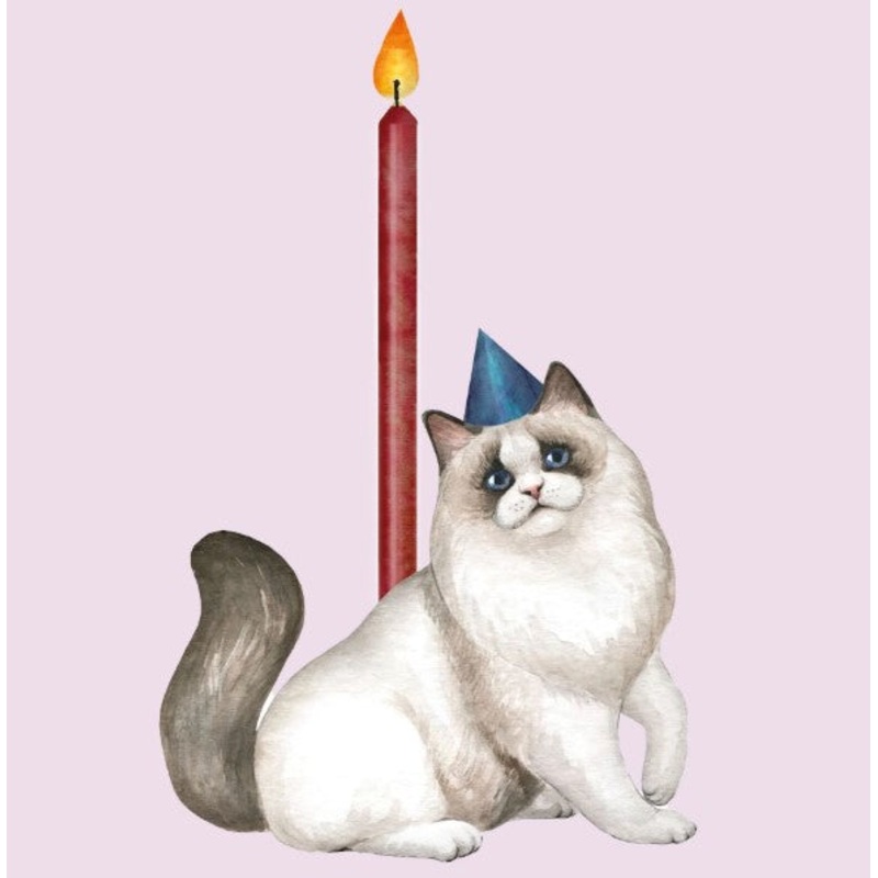 Ragdoll Cat – Cake Topper