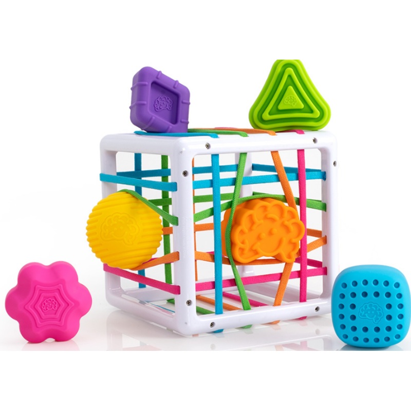InnyBin Discovery Toy