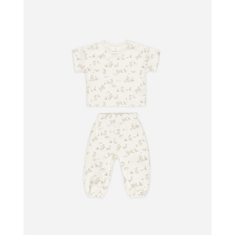 Quincy Mae Jersey Tee & Pant Set – Bunnies 0-3 months
