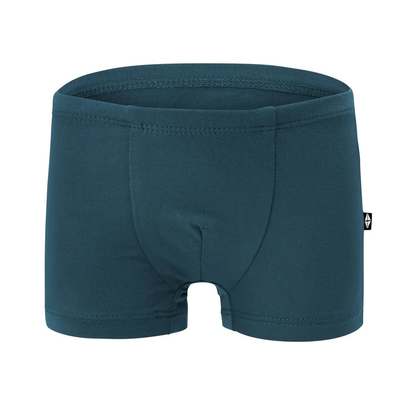 Kyte Baby Toddler Briefs – Atlantic 2T