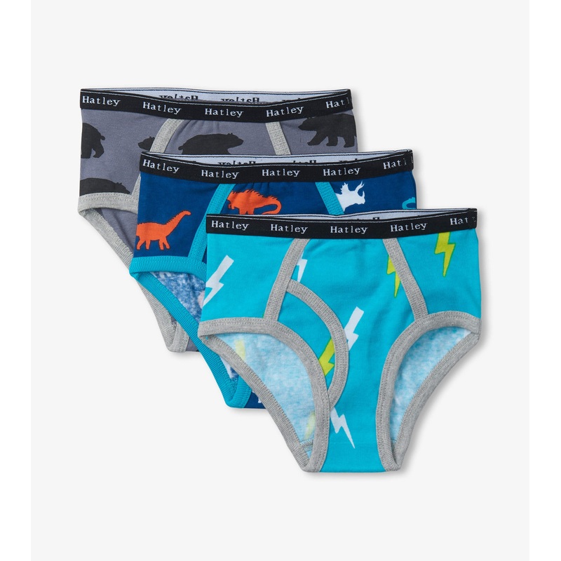 Hatley Boys |Classic Brief 3 Pack – Silhouette Nature 2/3