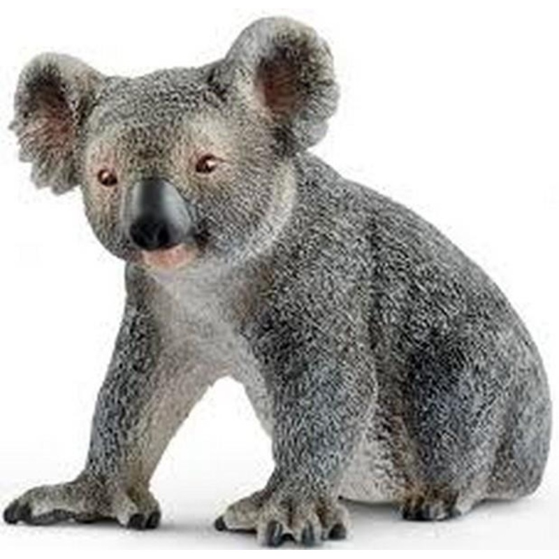 Schleich Koala Bear (14815)
